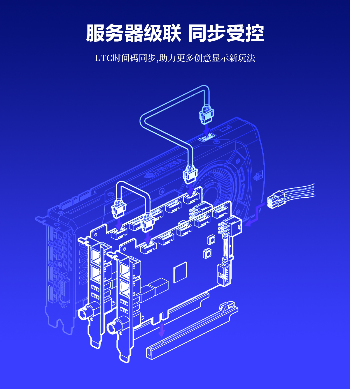 示例圖片